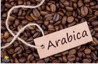 قهوه عربیکا